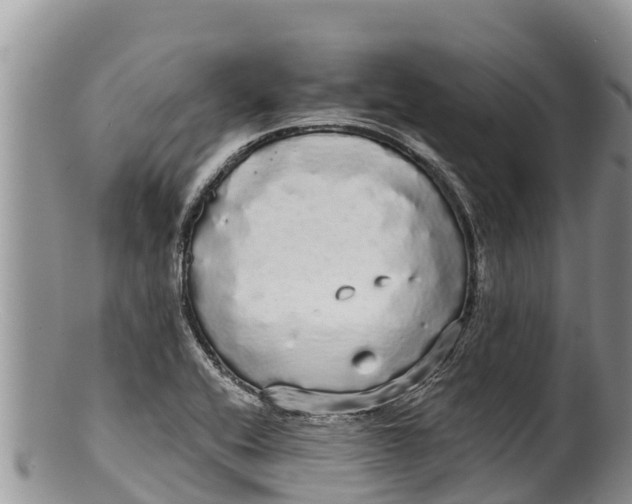 X0000100201416200806201410