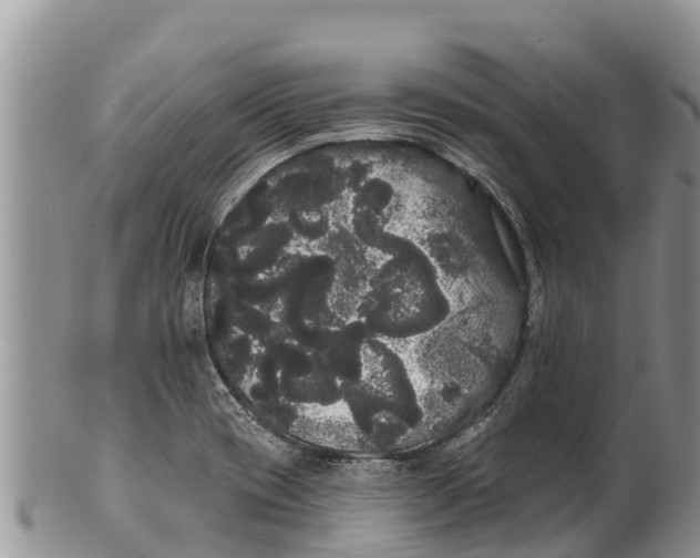 X0000100201417200806201410