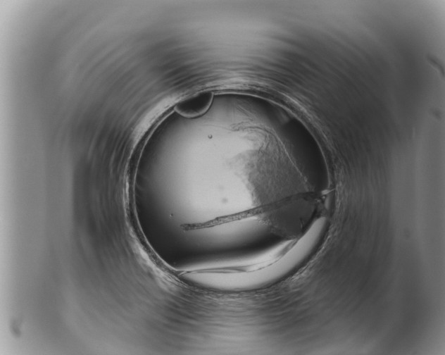 X0000100201418200806201410