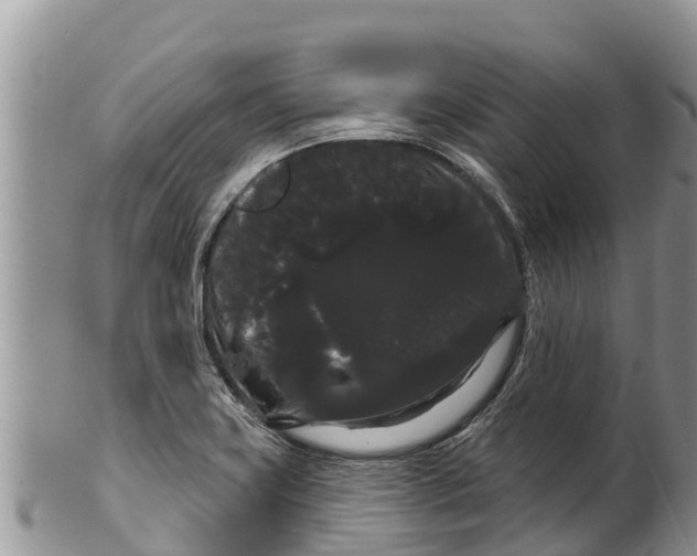 X0000100201419200806201410