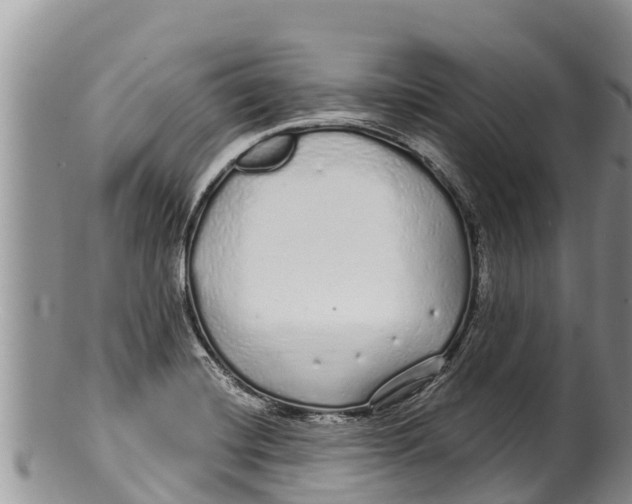 X0000100201420200806201410