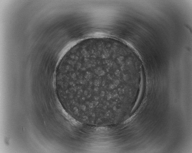 X0000100201421200806201410