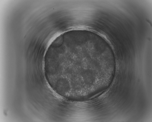 X0000100201424200806201410