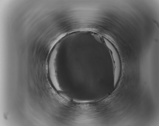 X0000100201428200806201410