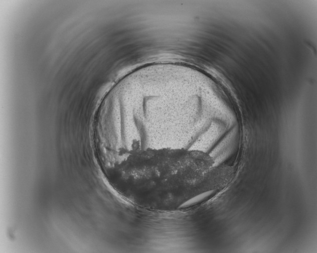 X0000100201429200806201410