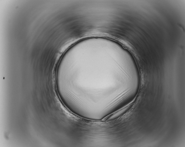 X0000100201430200806201410