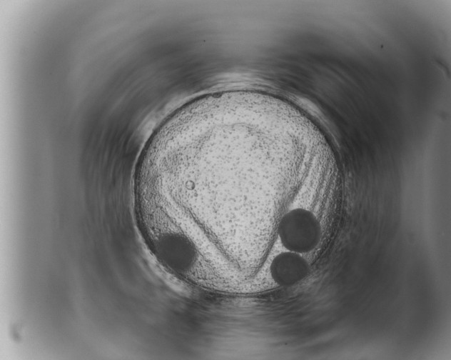 X0000100201431200806201410