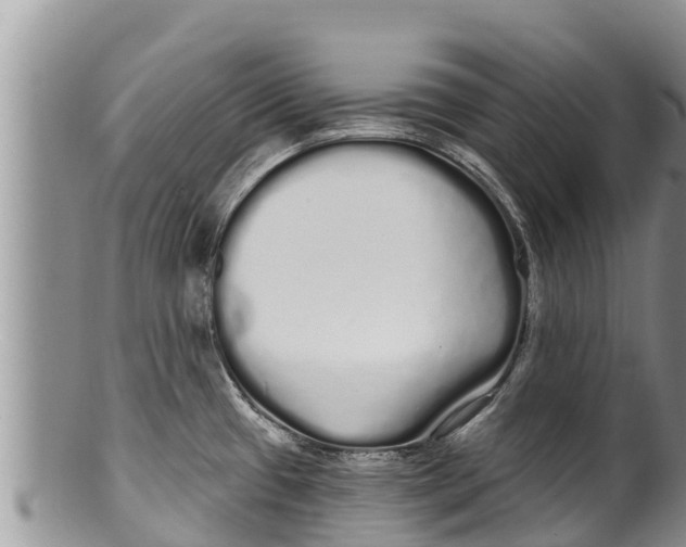 X0000100201433200806201410