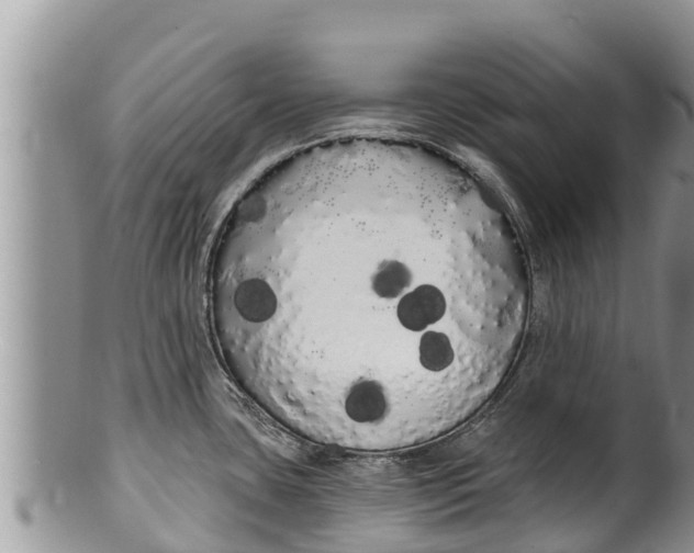 X0000100201435200806201410