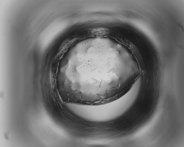 X0000100201438200806201410