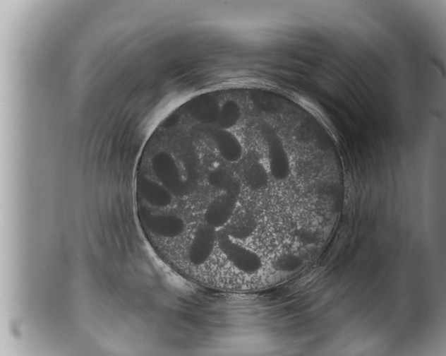 X0000100201439200806201410