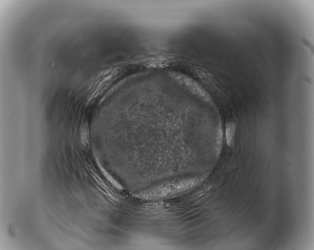 X0000100201444200806201410