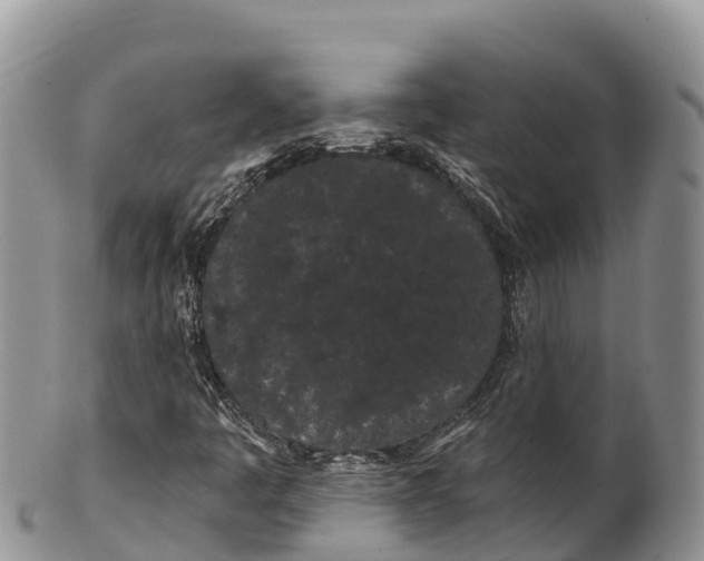 X0000100201445200806201410