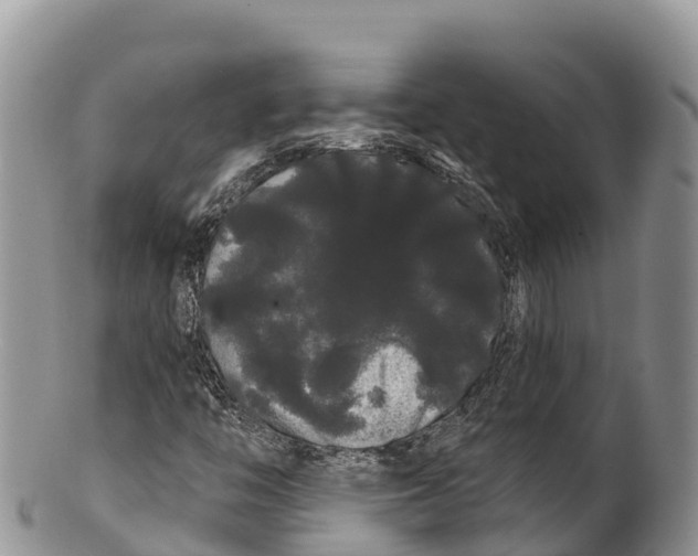 X0000100201446200806201410