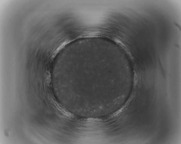 X0000100201449200806201410