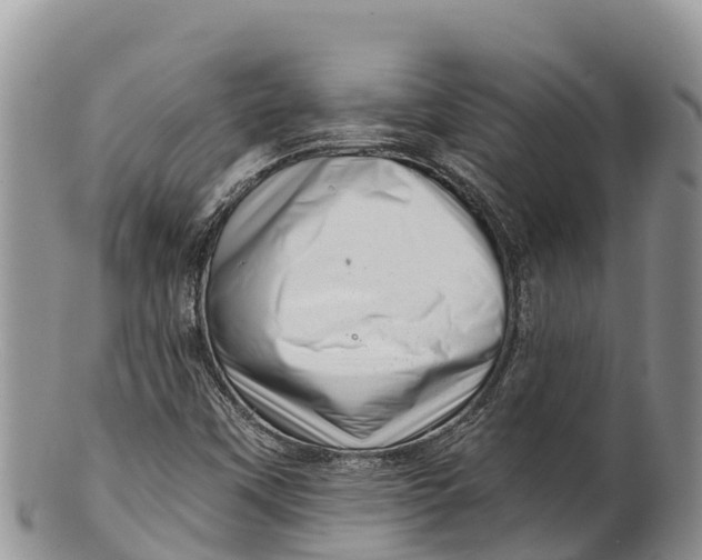 X0000100201451200806201410