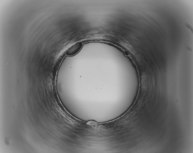 X0000100201452200806201410