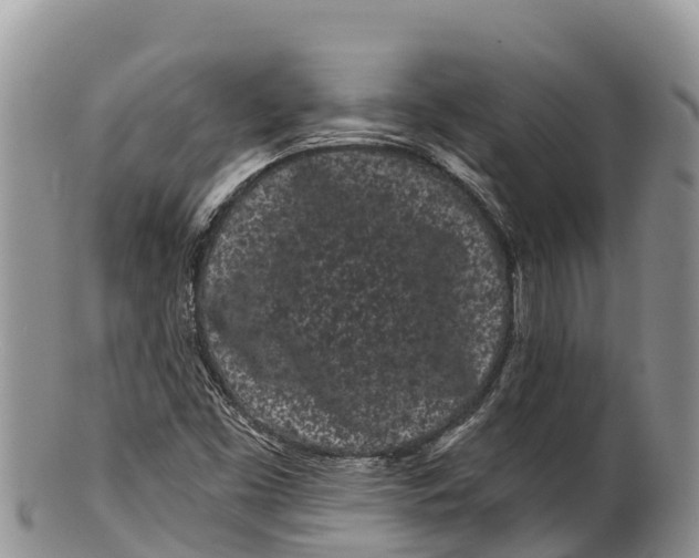 X0000100201453200806201410