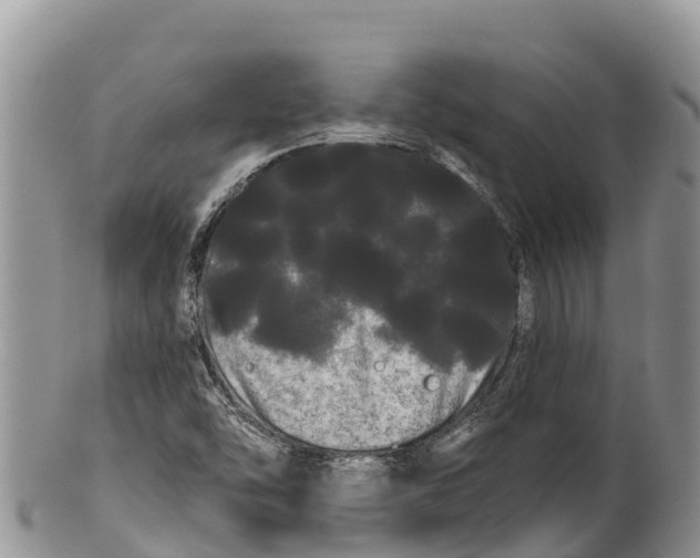 X0000100201454200806201410