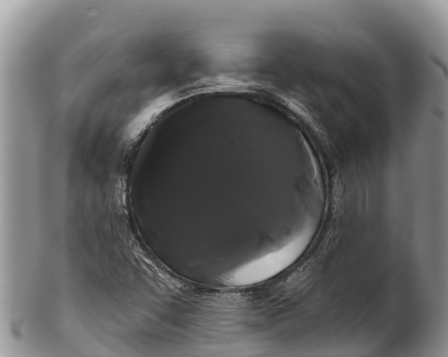 X0000100201455200806201410