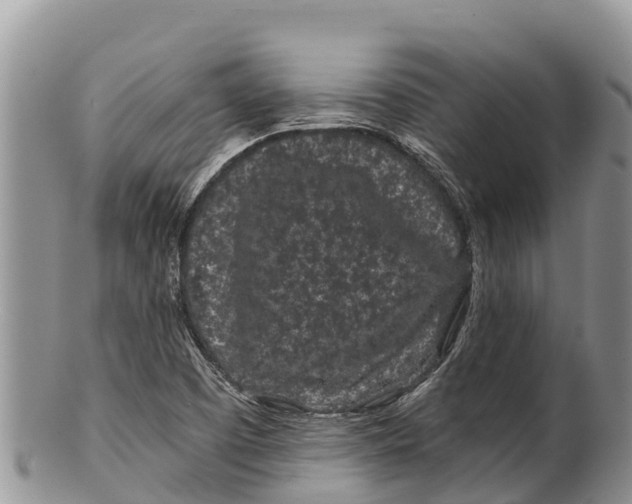 X0000100201457200806201410