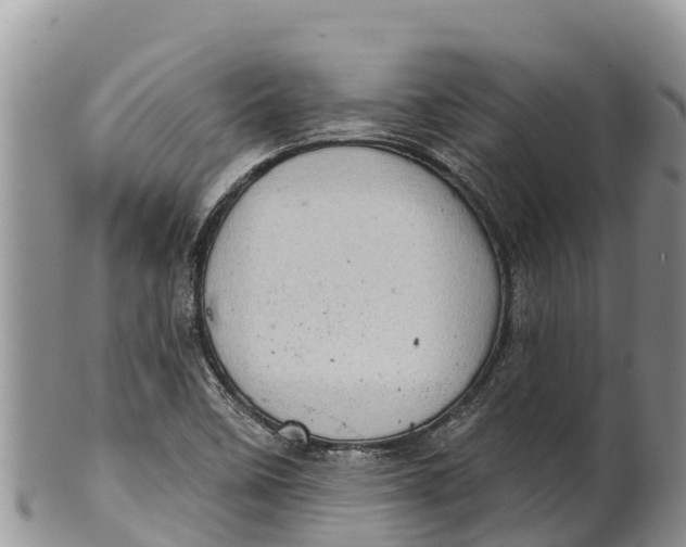 X0000100201458200806201410