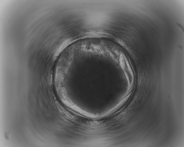 X0000100201459200806201410