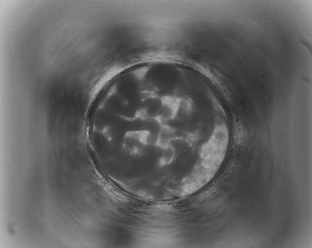 X0000100201462200806201409