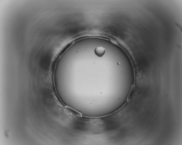 X0000100201464200806201409