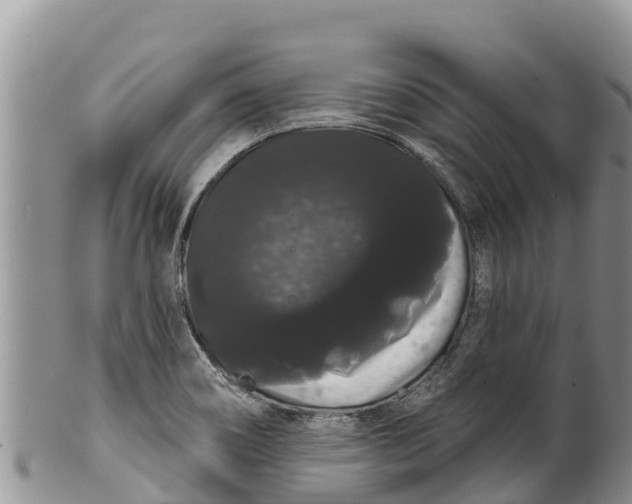 X0000100201466200806201409