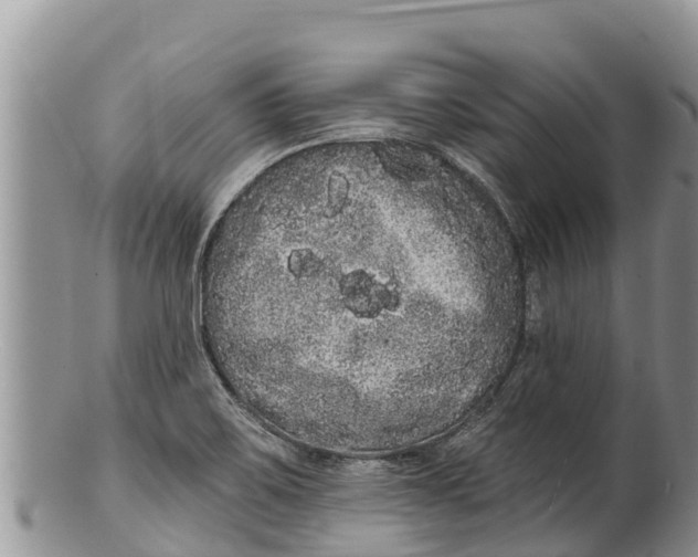 X0000100201467200806201409