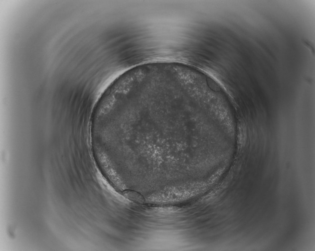 X0000100201468200806201409