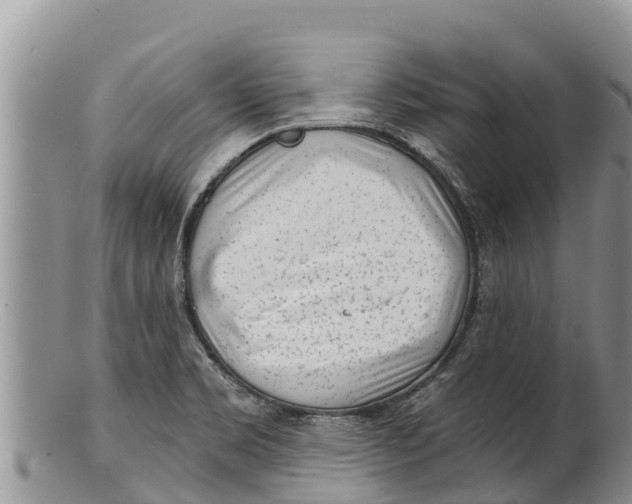 X0000100201469200806201409