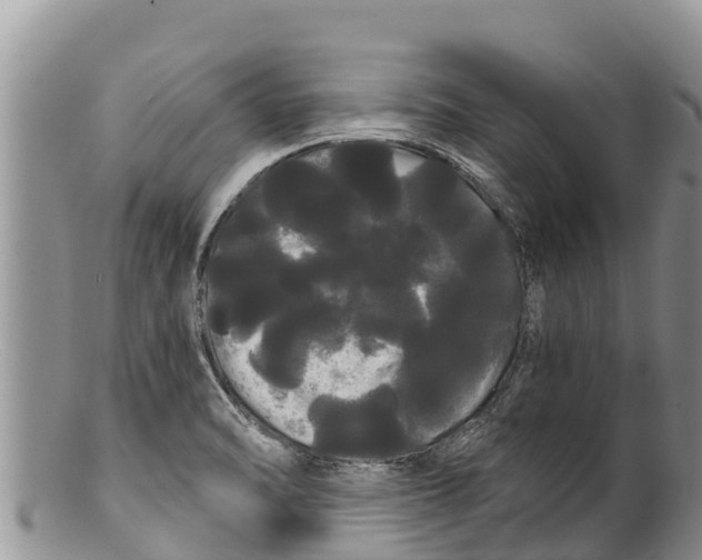 X0000100201470200806201409