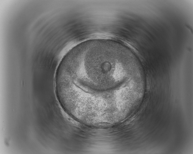 X0000100201471200806201409