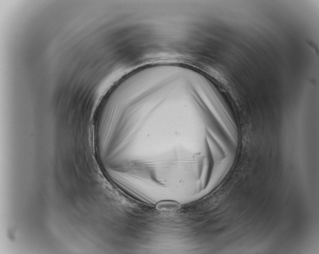 X0000100201472200806201409