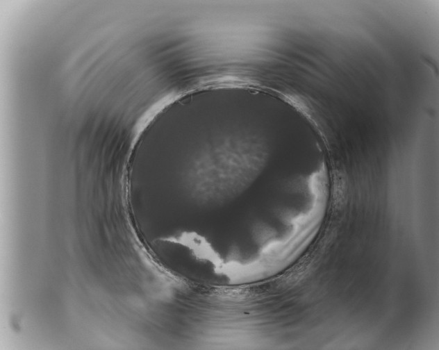 X0000100201474200806201409