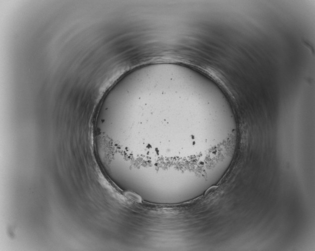 X0000100201476200806201409