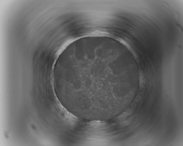 X0000100201478200806201409