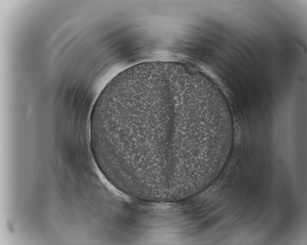 X0000100201479200806201409