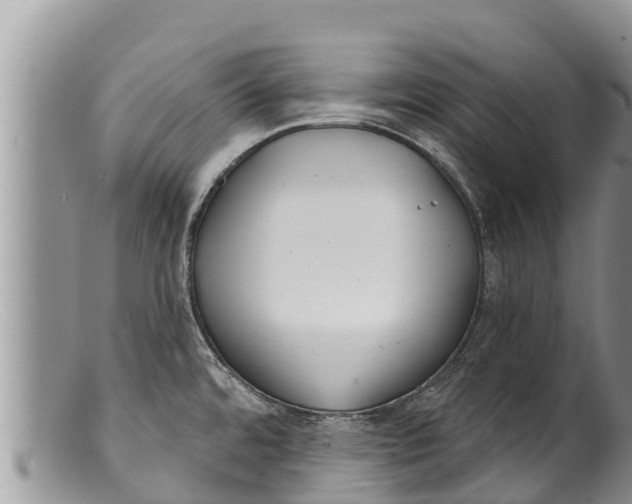 X0000100201480200806201409