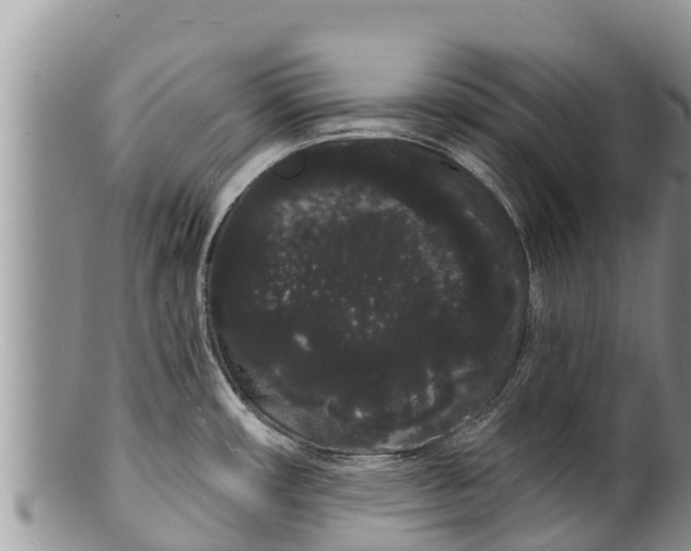 X0000100201482200806201409