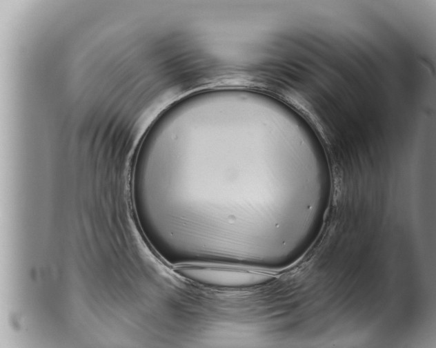 X0000100201483200806201409