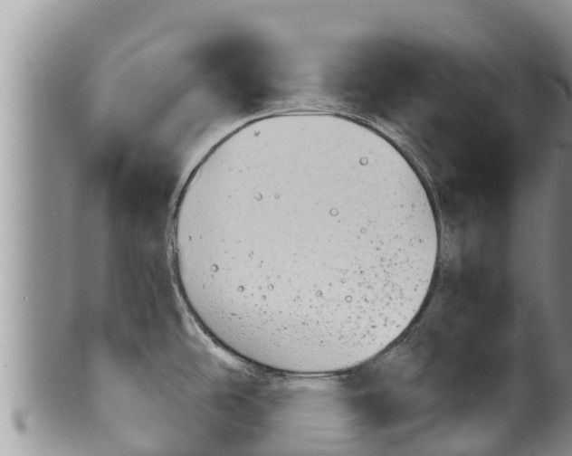 X0000100201486200806201409