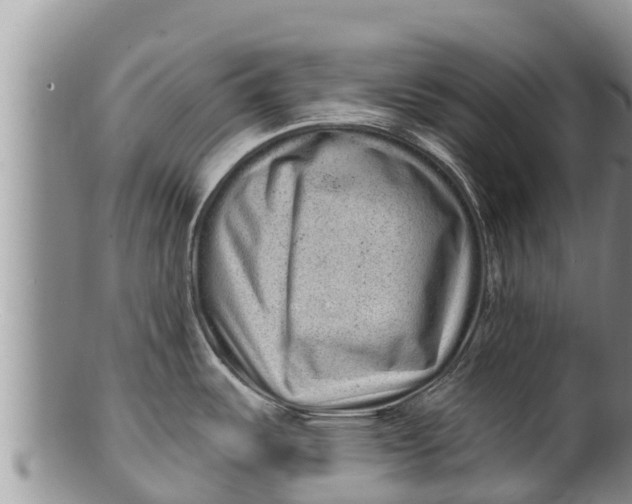 X0000100201487200806201409