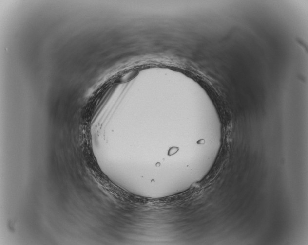 X0000100201496200806201409