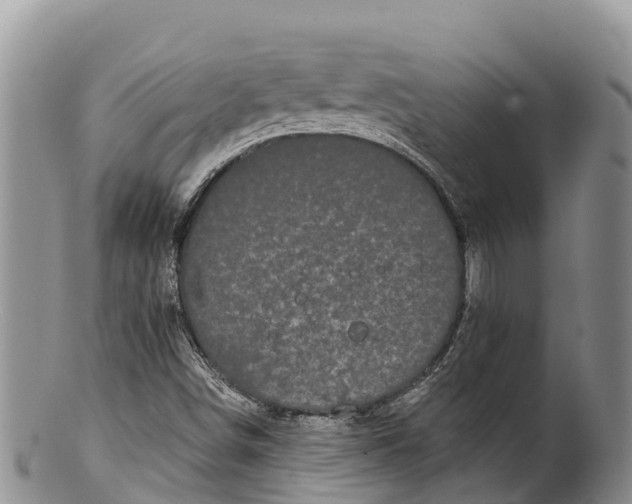 X0000100201498200806201409