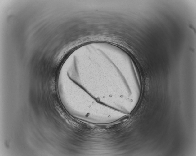 X0000100201499200806201409