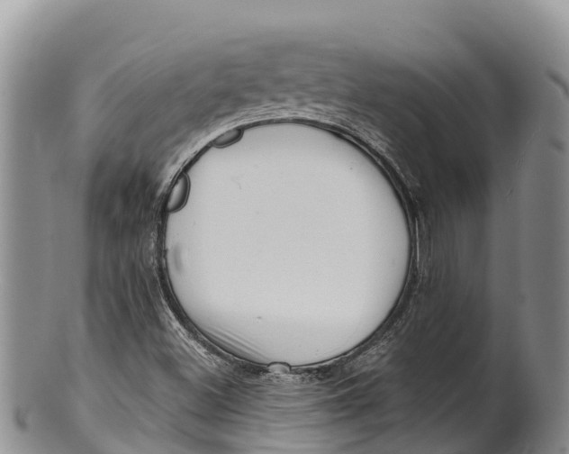 X0000100201500200806201409