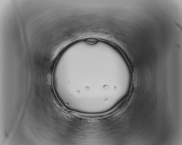 X0000100201501200806201409